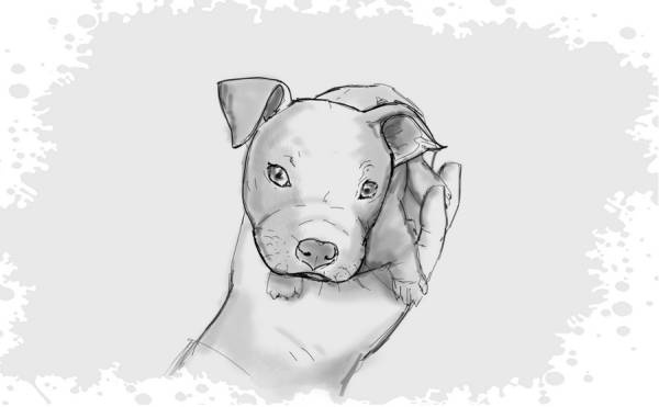 Иллюстрация к книге — Гномка в помощь, или Ося из Ллося [i_065.jpg]