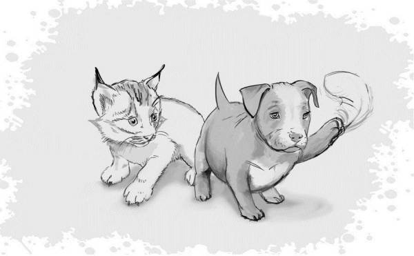 Иллюстрация к книге — Гномка в помощь, или Ося из Ллося [i_209.jpg]