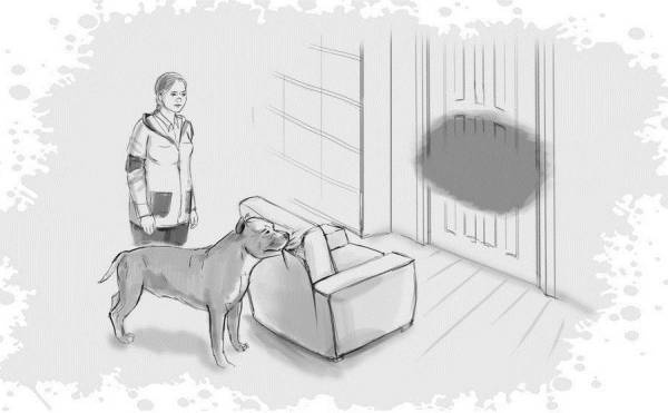 Иллюстрация к книге — Гномка в помощь, или Ося из Ллося [i_257.jpg]