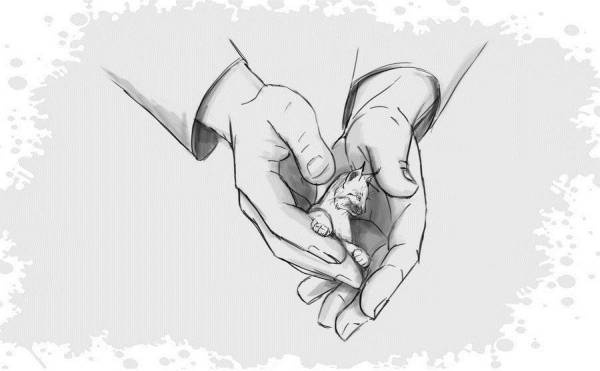 Иллюстрация к книге — Гномка в помощь, или Ося из Ллося [i_258.jpg]