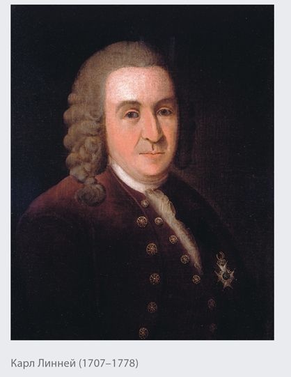 Иллюстрация к книге — Динозавры. 150 000 000 лет господства на Земле [i_006.jpg]