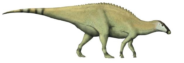 Иллюстрация к книге — Динозавры. 150 000 000 лет господства на Земле [i_023.jpg]