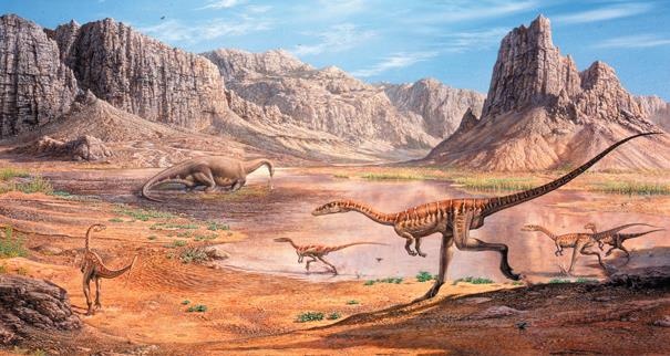 Иллюстрация к книге — Динозавры. 150 000 000 лет господства на Земле [i_024.jpg]