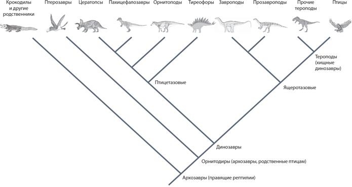 Иллюстрация к книге — Динозавры. 150 000 000 лет господства на Земле [i_028.jpg]