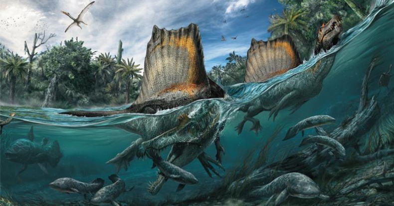 Иллюстрация к книге — Динозавры. 150 000 000 лет господства на Земле [i_043.jpg]