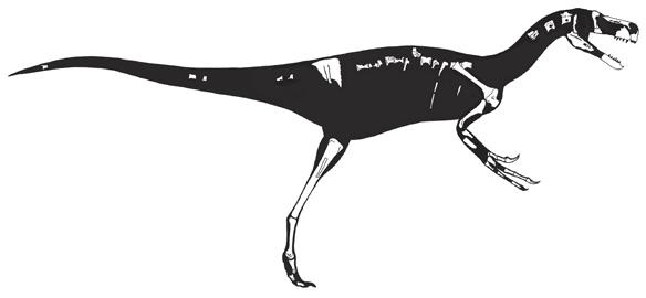 Иллюстрация к книге — Динозавры. 150 000 000 лет господства на Земле [i_045.jpg]
