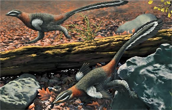 Иллюстрация к книге — Динозавры. 150 000 000 лет господства на Земле [i_048.jpg]
