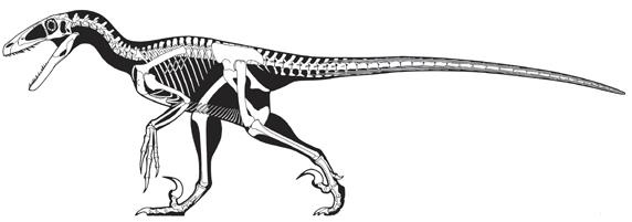 Иллюстрация к книге — Динозавры. 150 000 000 лет господства на Земле [i_049.jpg]