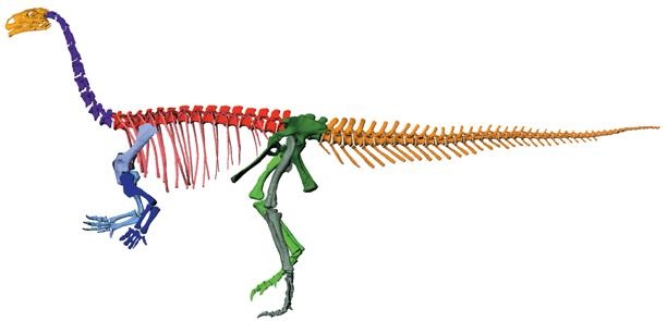 Иллюстрация к книге — Динозавры. 150 000 000 лет господства на Земле [i_055.jpg]