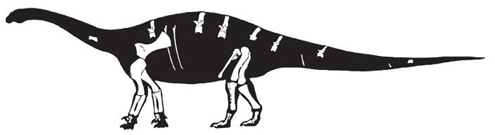 Иллюстрация к книге — Динозавры. 150 000 000 лет господства на Земле [i_056.jpg]