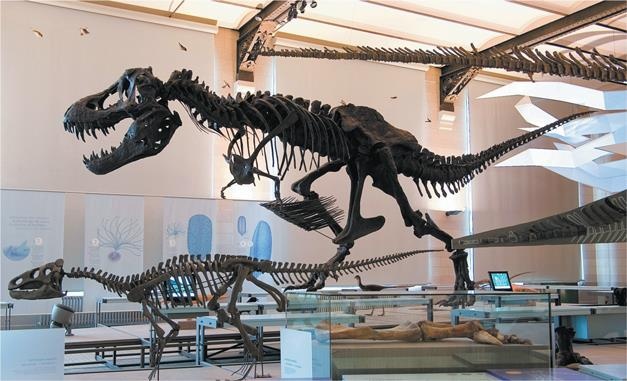 Иллюстрация к книге — Динозавры. 150 000 000 лет господства на Земле [i_084.jpg]