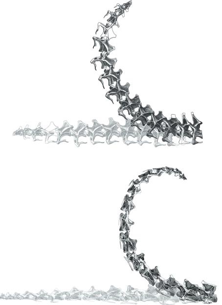 Иллюстрация к книге — Динозавры. 150 000 000 лет господства на Земле [i_098.jpg]