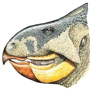 Иллюстрация к книге — Динозавры. 150 000 000 лет господства на Земле [i_118.jpg]