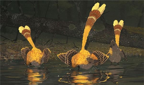 Иллюстрация к книге — Динозавры. 150 000 000 лет господства на Земле [i_121.jpg]