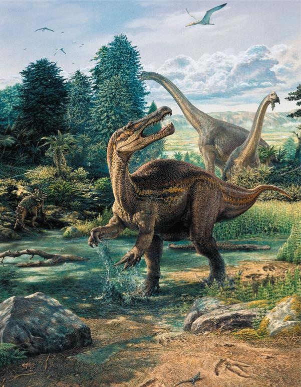 Иллюстрация к книге — Динозавры. 150 000 000 лет господства на Земле [i_130.jpg]