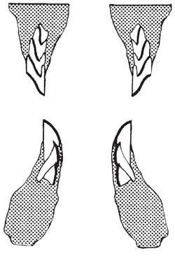 Иллюстрация к книге — Динозавры. 150 000 000 лет господства на Земле [i_133.jpg]