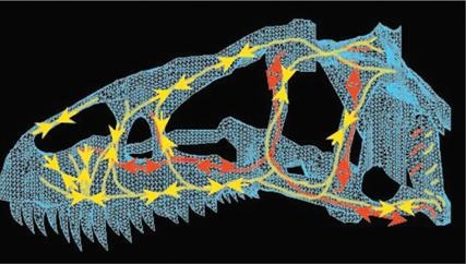 Иллюстрация к книге — Динозавры. 150 000 000 лет господства на Земле [i_143.jpg]