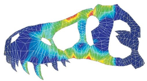 Иллюстрация к книге — Динозавры. 150 000 000 лет господства на Земле [i_144.jpg]