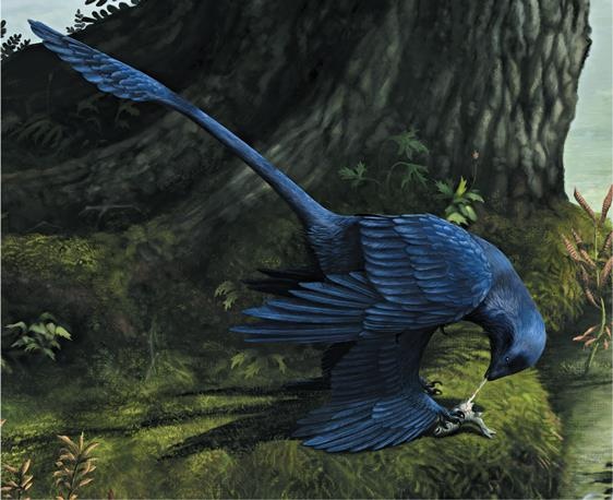 Иллюстрация к книге — Динозавры. 150 000 000 лет господства на Земле [i_148.jpg]