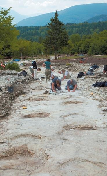 Иллюстрация к книге — Динозавры. 150 000 000 лет господства на Земле [i_153.jpg]