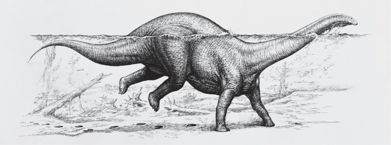 Иллюстрация к книге — Динозавры. 150 000 000 лет господства на Земле [i_155.jpg]