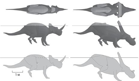 Иллюстрация к книге — Динозавры. 150 000 000 лет господства на Земле [i_156.jpg]
