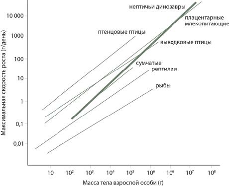 Иллюстрация к книге — Динозавры. 150 000 000 лет господства на Земле [i_161.jpg]