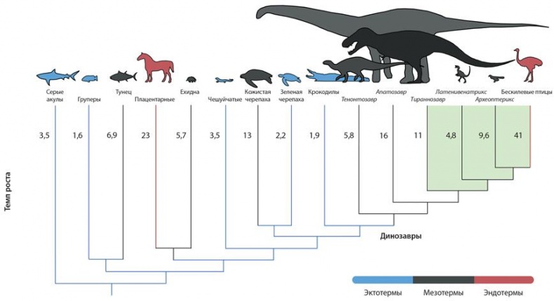 Иллюстрация к книге — Динозавры. 150 000 000 лет господства на Земле [i_162.jpg]