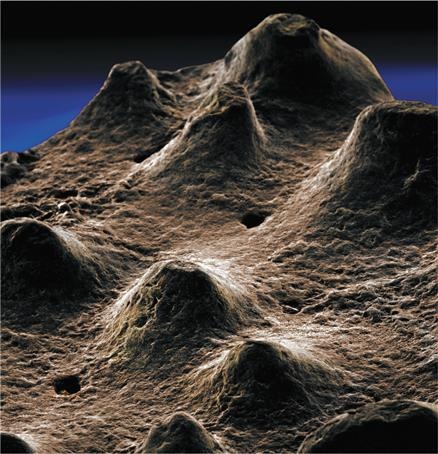 Иллюстрация к книге — Динозавры. 150 000 000 лет господства на Земле [i_168.jpg]