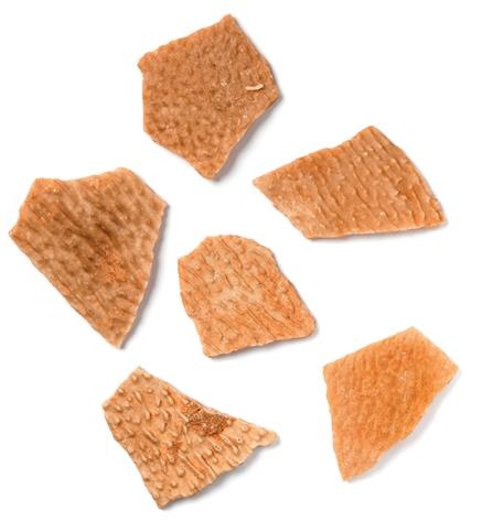 Иллюстрация к книге — Динозавры. 150 000 000 лет господства на Земле [i_169.jpg]