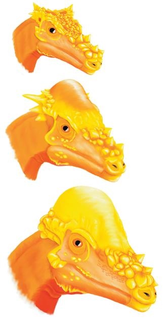 Иллюстрация к книге — Динозавры. 150 000 000 лет господства на Земле [i_183.jpg]