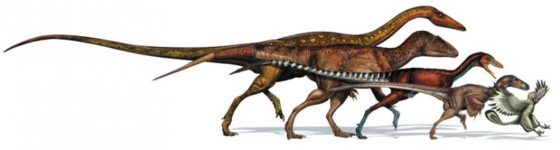 Иллюстрация к книге — Динозавры. 150 000 000 лет господства на Земле [i_195.jpg]