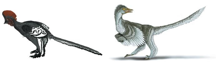 Иллюстрация к книге — Динозавры. 150 000 000 лет господства на Земле [i_197.jpg]