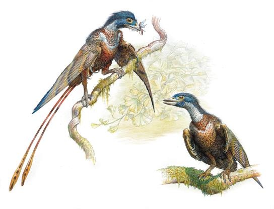 Иллюстрация к книге — Динозавры. 150 000 000 лет господства на Земле [i_204.jpg]