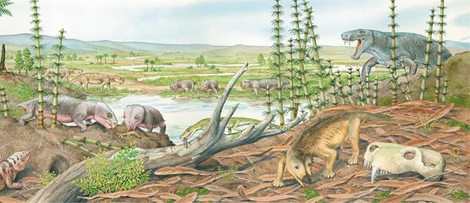 Иллюстрация к книге — Динозавры. 150 000 000 лет господства на Земле [i_209.jpg]