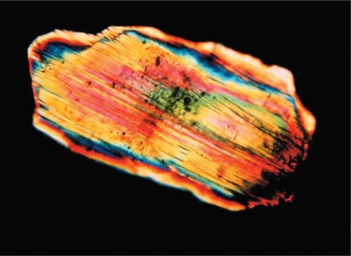 Иллюстрация к книге — Динозавры. 150 000 000 лет господства на Земле [i_210.jpg]