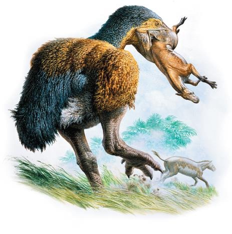 Иллюстрация к книге — Динозавры. 150 000 000 лет господства на Земле [i_217.jpg]