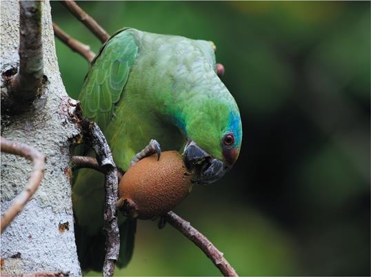 Иллюстрация к книге — Динозавры. 150 000 000 лет господства на Земле [i_224.jpg]