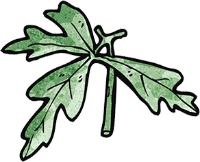 Иллюстрация к книге — Сису. Поиск источника отваги, силы и счастья по-фински [i_031.jpg]