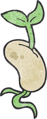 Иллюстрация к книге — Сису. Поиск источника отваги, силы и счастья по-фински [i_032.jpg]