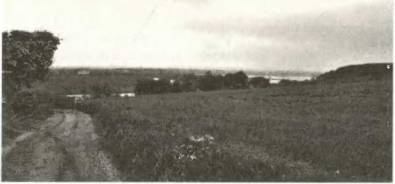 Иллюстрация к книге — Войны роз. Йорки против Ланкастеров [i_057.jpg]