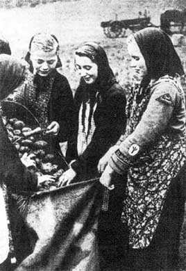 Иллюстрация к книге — Женские вспомогательные службы Германии во Второй мировой войне [i_054.jpg]