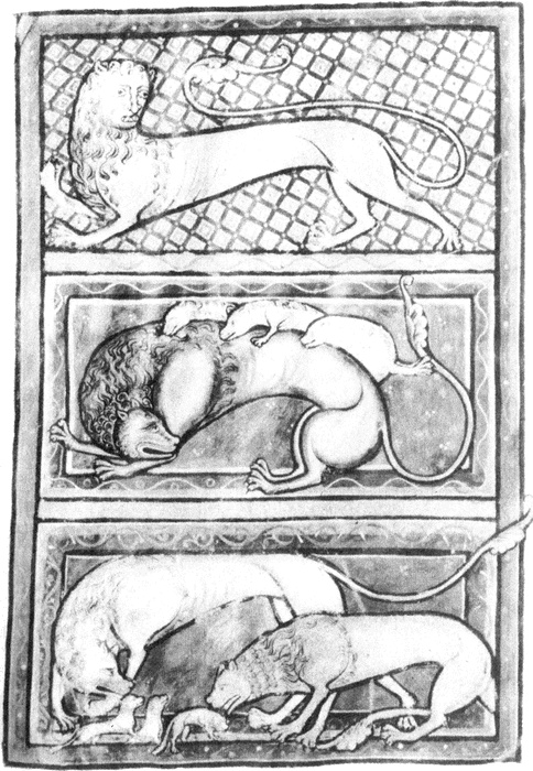 Иллюстрация к книге — Средневековый бестиарий. Что думали наши предки об окружающем их мире [i_002.jpg]