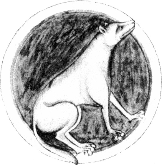 Иллюстрация к книге — Средневековый бестиарий. Что думали наши предки об окружающем их мире [i_008.jpg]