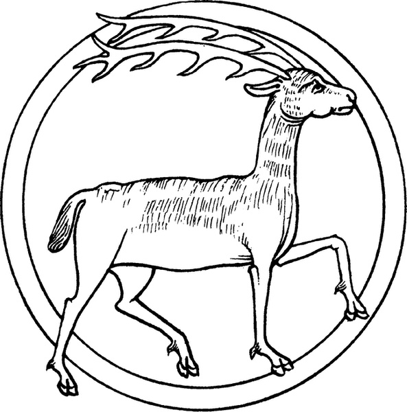 Иллюстрация к книге — Средневековый бестиарий. Что думали наши предки об окружающем их мире [i_017.jpg]