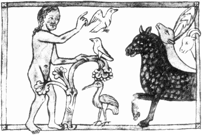 Иллюстрация к книге — Средневековый бестиарий. Что думали наши предки об окружающем их мире [i_033.jpg]