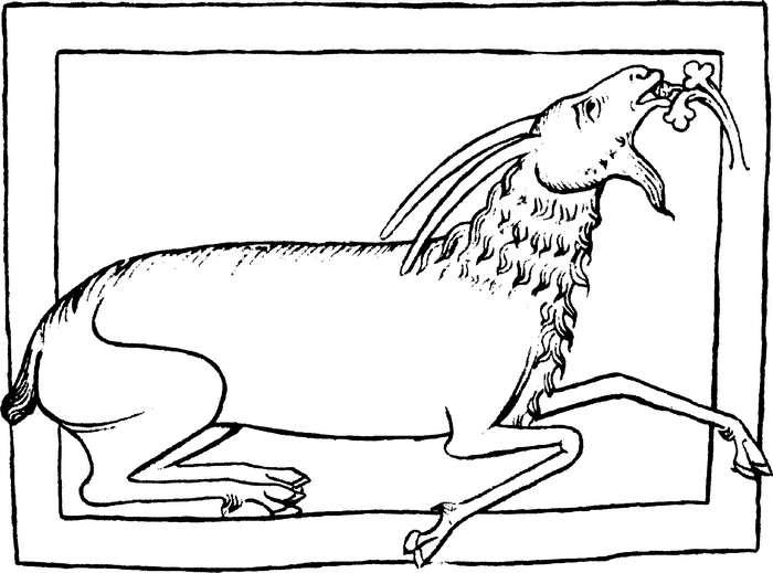 Иллюстрация к книге — Средневековый бестиарий. Что думали наши предки об окружающем их мире [i_037.jpg]