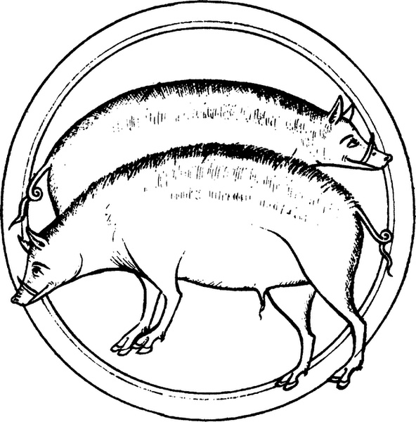 Иллюстрация к книге — Средневековый бестиарий. Что думали наши предки об окружающем их мире [i_038.jpg]