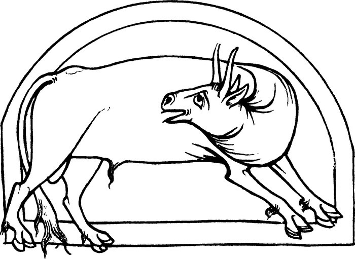 Иллюстрация к книге — Средневековый бестиарий. Что думали наши предки об окружающем их мире [i_039.jpg]