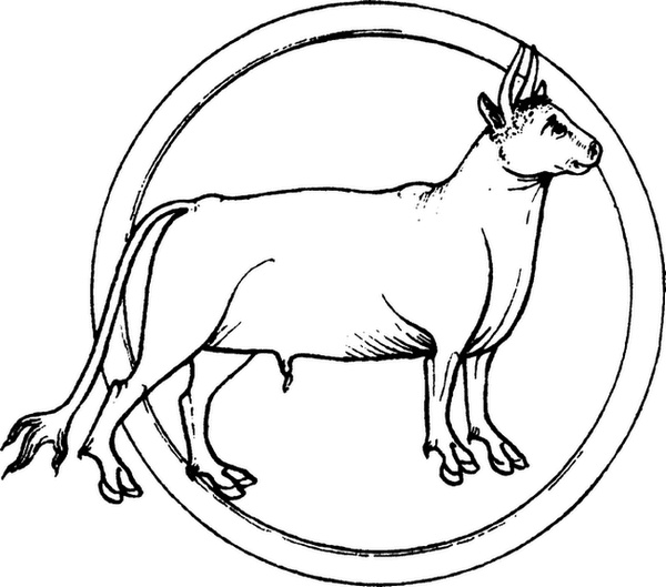 Иллюстрация к книге — Средневековый бестиарий. Что думали наши предки об окружающем их мире [i_040.jpg]